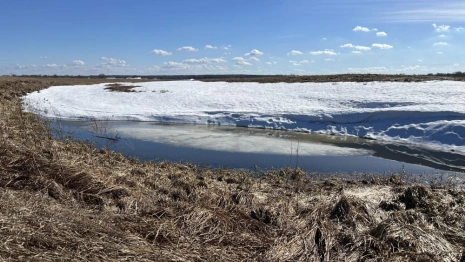 Прогноз погоды во Владимирской области на 14 апреля 2026 года
