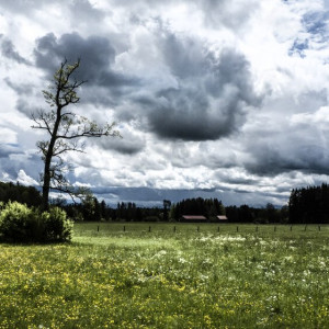 Прогноз погоды во Владимирской области на 10 мая 2025 года