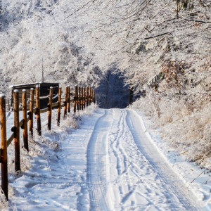 Рабочая неделя во Владимире начнется со снега и мороза