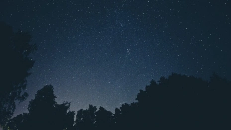 Владимирцев ждет самая короткая ночь в году