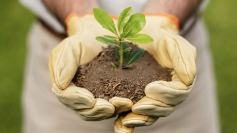 Во Владимирской области с полок магазинов исчезнут «Бабкин язык» и «Баргузин»