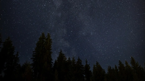 Жители Владимирской области увидят двойной звездопад в ночь на 31 июля