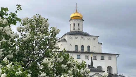 Памятник пограничнику во Владимире может появиться на улице Белоконской