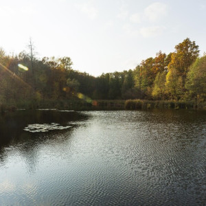 Прогноз погоды во Владимире и области на 10 апреля