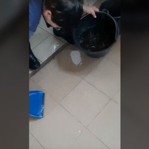 Во Владимирской области затопило муниципальный приют