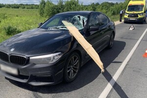 В Муроме водитель BMW чудом выжил после «прилетевшей» в лобовое стекло деревянной доски