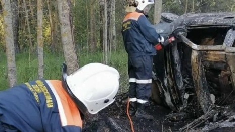 Во Владимирской области легковушка улетела в кювет и загорелась: водитель погиб