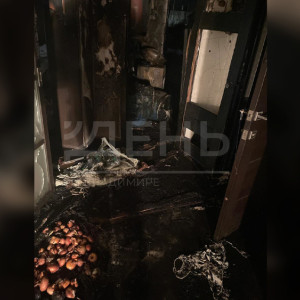 Во Владимирской области из-за пожара семья осталась без дома