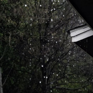 Жителей Владимирской области предупредили о шквалистом ветре