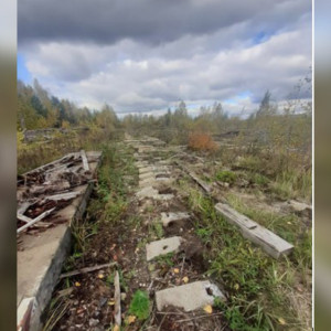 В Красной Горбатке экс-полицейского и его друга оштрафовали за кражу рельсов