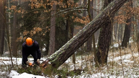 Во Владимирской области халатность чиновника обернулась ущербом детсадам в 1,7 млн рублей