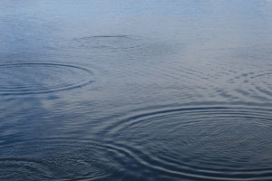 В Коврове у официального пляжа утонул человек