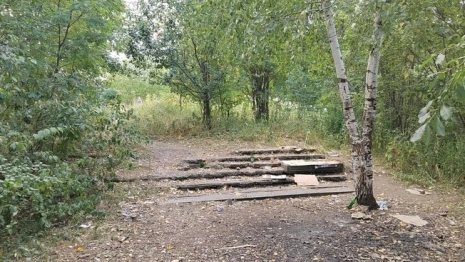 На обновление садов у ДТЮ во Владимире потратят 800 млн рублей