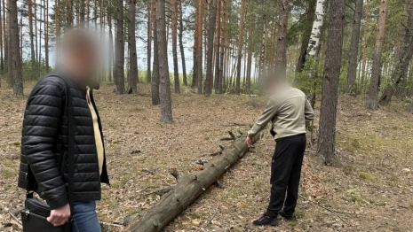 Попавшийся на покупке наркотиков житель Гусь-Хрустального пытался дать взятку полицейскому