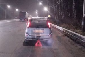 На М-7 в Ковровском районе сбили насмерть 46-летнего пешехода