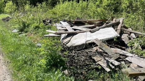 В Судогодском районе громадную стихийную свалку убрали после суда