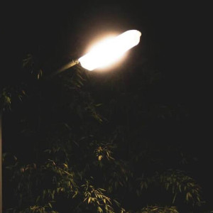 Глава Владимира отправил коммунальщиков гулять по темноте