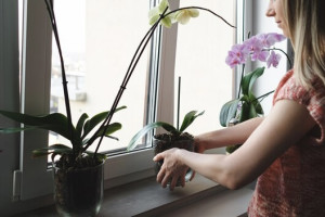 Жителя Владимира будут судить за ограбление цветочного магазина