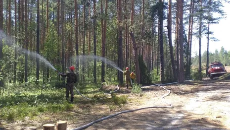 Владимирская область получит 6 автоцистерн для тушения лесных пожаров