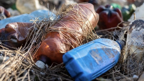 Во Владимирской области в очередной раз оштрафовали регоператора за невывоз мусора