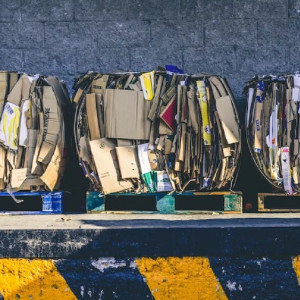 Во Владимирской области установят 1,6 тыс. контейнеров для раздельного сбора мусора