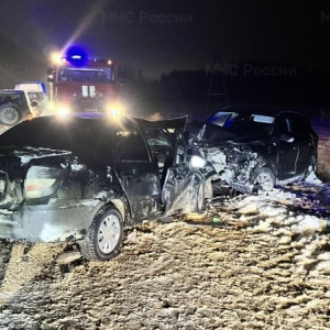 Спасатели деблокировали 2 пострадавших в ДТП под Суздалем