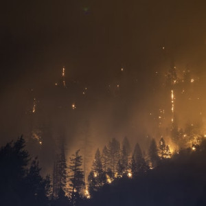 Во Владимирской области пожароопасный сезон продлится полгода