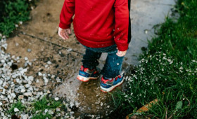 Выходные во Владимире будут холодными и дождливыми