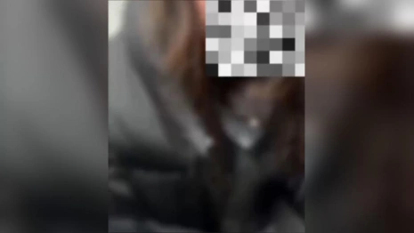 Во Владимире группа подростков избила школьницу