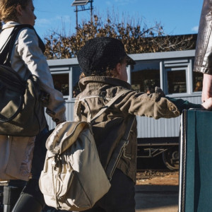 Жителей Юрьев-Польского осудили за организацию фиктивных браков с нелегалами