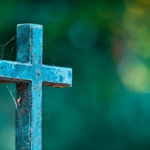 Владимирские санврачи признали кладбище в Соколе противоречащим нормам