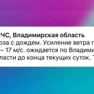 МЧС предупредило о грозе и урагане во Владимирской области