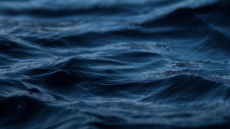 Студенты, ребенок и рыбак. Во Владимирской области утонули 11 человек