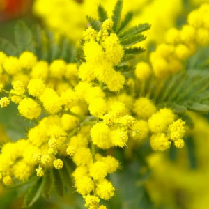 Прогноз погоды во Владимирской области на 9 марта
