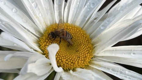 Прогноз погоды во Владимирской области на 7 августа 2025 года