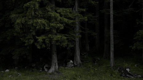 Пропавшего в Камешковском районе 66-летнего мужчину в резиновых сапогах нашли мертвым