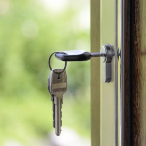 Жители Владимирской области приумножили свои сотки за счет муниципальной земли