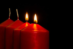 Двум школам во Владимирской области присвоят имена погибших на Украине военных