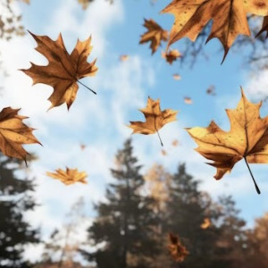 Сентябрьское тепло побило 40-летний рекорд во Владимирской области