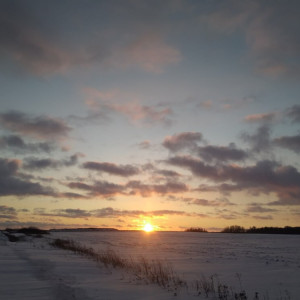 Во Владимирской области первая рабочая неделя зимы закончится похолоданием до -5