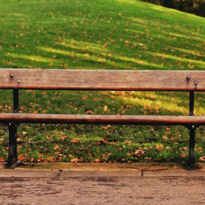 В Коврове подрядчик сорвал благоустройство скверов за 51 млн рублей 