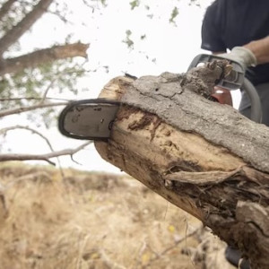 Во Владимире арестовали азербайджанца за угрозы прохожей