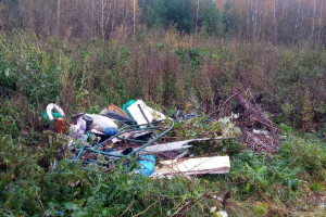 Во Владимирской области нашли 5 несанкционированных свалок