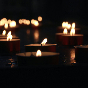 Владимирский губернатор выразил соболезнования дочери умершего в Индии Павла Антова