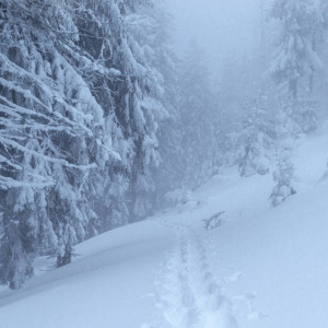 Прогноз погоды во Владимире и области на 15 декабря