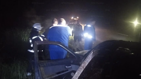 В Гусь-Хрустальном ночью легковушка сбила лося