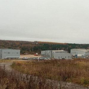 Жители деревни Зелени отстояли право жить без соседства с коровником 