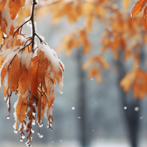 Во Владимирской области прошел первый снег