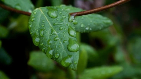 Прогноз погоды во Владимирской области на 20 августа