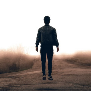 Во Владимирской области нашли пропавшего в начале июля жителя Боголюбово